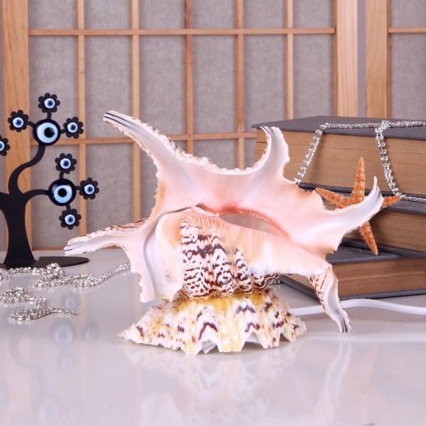 Chiragra Lamba