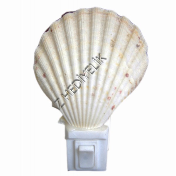 Pecten Radula Gece Lambası