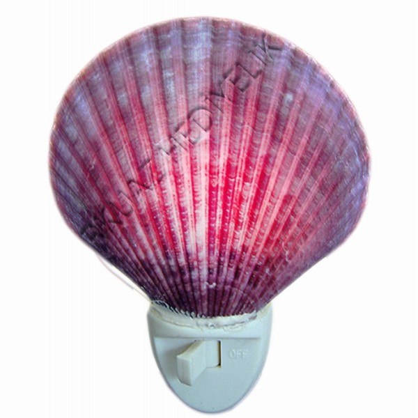Pecten Novalis Mor Gece Lambası