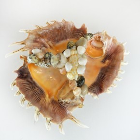 ÜÇLÜ LAMBİS KÜLLÜK