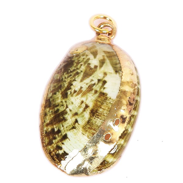 Kolye Ucu - Abalone / Sarı Metal Kolye Ucu - Abalone / Sarı Metal