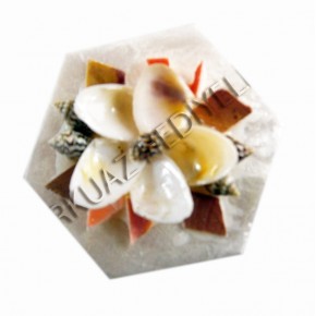 KÜÇÜK SEDEF ALTIGEN KUTU