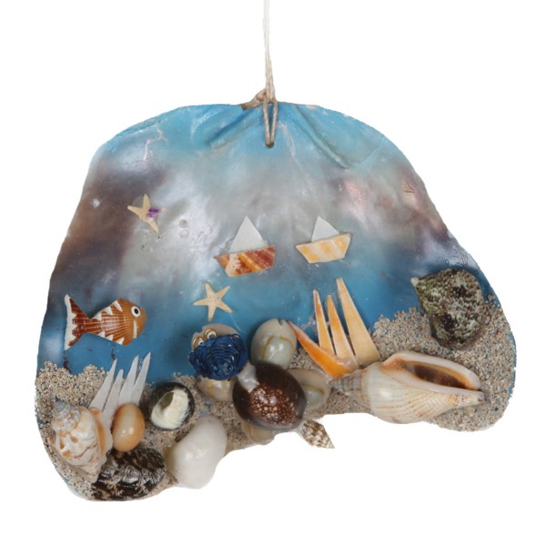 Placuna Kaplumbağa Duvar Dekoru Placuna Kaplumbağa Duvar Dekoru
