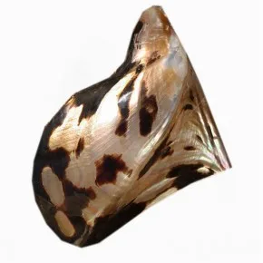 BROWN LIP 4