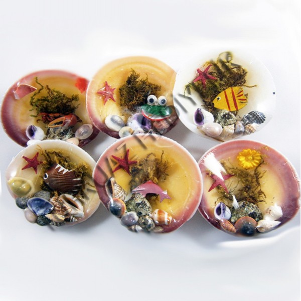 Karışık Magnet - 24'lü Set
