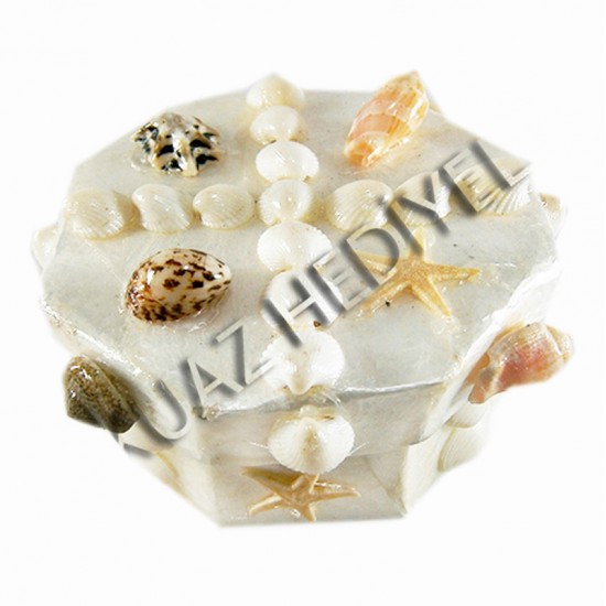 ORTA SEDEF KUTU-ALTIGEN-KARIŞIK KABUKLU