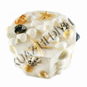 BÜYÜK SEDEF KUTU-ALTIGEN-KARIŞIK KABUKLU