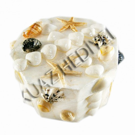 BÜYÜK SEDEF KUTU-ALTIGEN-KARIŞIK KABUKLU