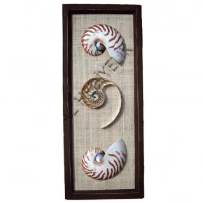 Nautilus Duvar Dekoru - Naturel