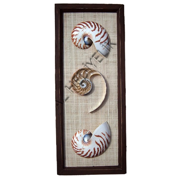 Nautilus Duvar Dekoru - Naturel
