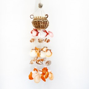 PECTEN KABUK HASIR SARKAÇ