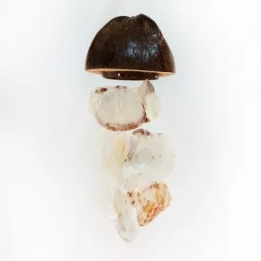 HAM COCO PLACUNA SARKAÇ