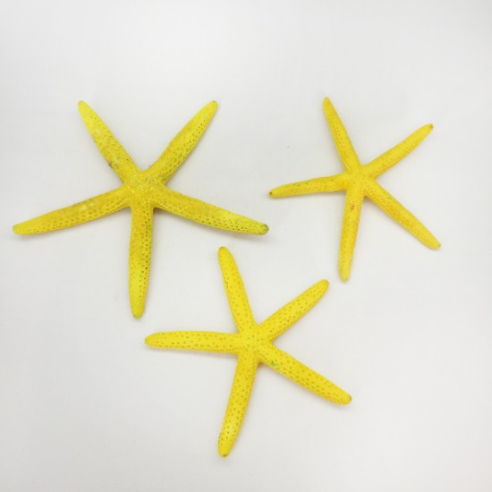 DENİZ YILDIZI-(SARI) 4"-5"                                 