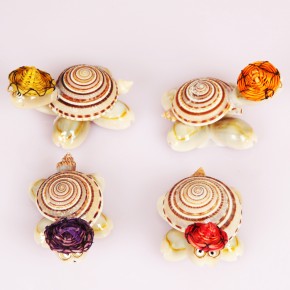 TEKLİ KAPLUMBAĞA-SUNDİAL