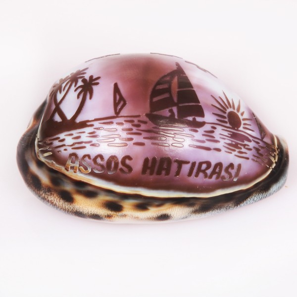 Tigris Assos