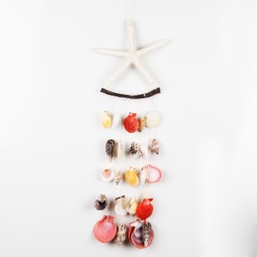 BEYAZ PARMAK YILDIZLI KABUK SARKAÇ