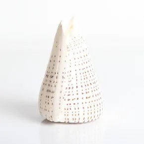 CONUS MIXED