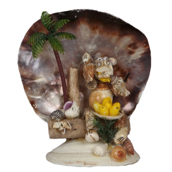 PLACUNA MAYMUN BİBLO