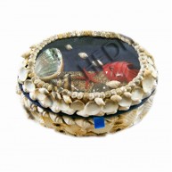 ÜZERİ AKVARYUM OVAL KUTU