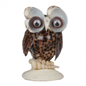 KÜRDANLIK-TİGRİS BAYKUŞ