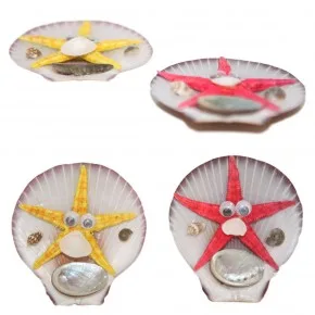 Moonshell Yıldızlı Magnet