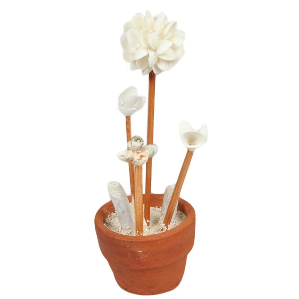 Saksı Aranjman - Clam Rose Saksı Aranjman - Clam Rose