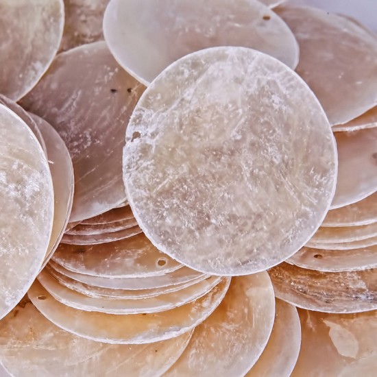 DENİZ KABUĞU 500 GR PAKET PUL SEDEF-6 CM ÇAP DENİZ KABUĞU 500 GR PAKET PUL SEDEF-6 CM ÇAP