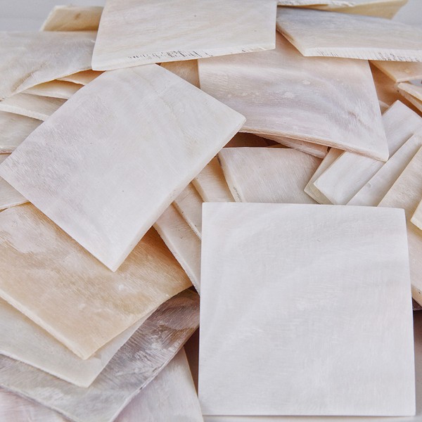 Gerçek Kiloluk Plaka Macabe Deniz Kabuğu - 100 g Paket Gerçek Kiloluk Plaka Macabe Deniz Kabuğu - 100 g Paket