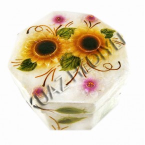 BÜYÜK SEDEF KUTU-ALTIGEN-AY ÇİÇEĞİ