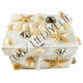 BÜYÜK SEDEF KUTU-KARE-KARIŞIK KABUKLU