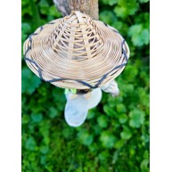 KAYKAY YAPAN ADAM BİBLO