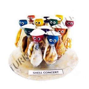 12'Lİ PENGUEN KORO BİBLO