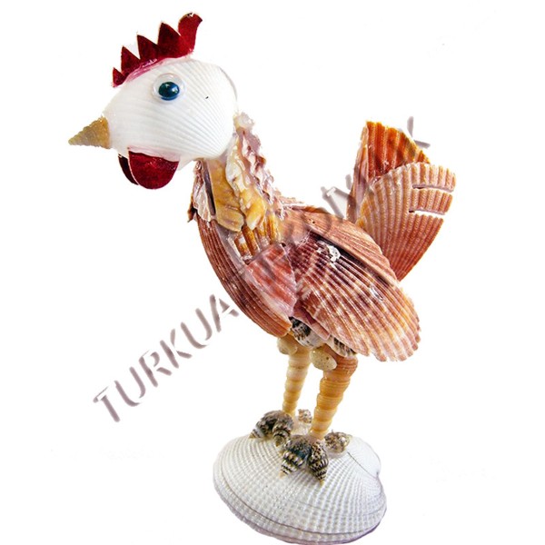 Tavuk Biblo Tavuk Biblo