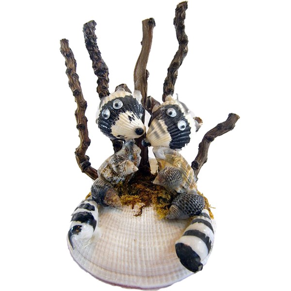 Rakun Biblo