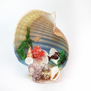 TONNA CEPA KABUKLU  AKVARYUM BİBLO                  