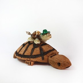 COCO KAPLUMBAĞA-İKİLİ                               