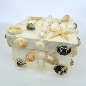 ORTA SEDEF KUTU-KARE-KARIŞIK KABUKLU