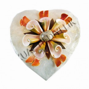 BÜYÜK SEDEF KALP KUTU