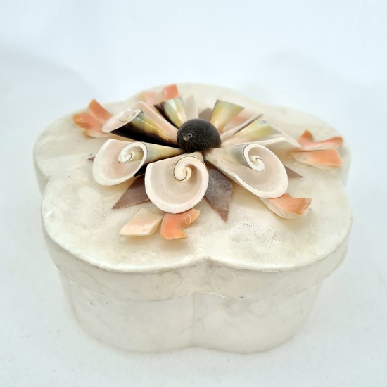 BÜYÜK SEDEF ÇİÇEK KUTU