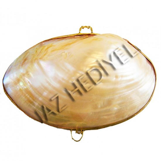 RIVERSHELL KABUK CÜZDAN