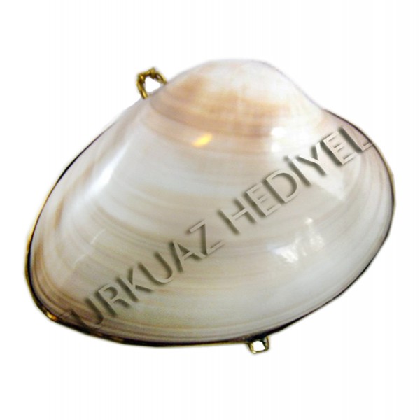 Sedefli Clam Kabuk Cüzdan Sedefli Clam Kabuk Cüzdan