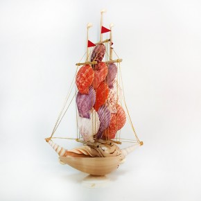 MELON GEMİ-PECTEN KABUKLU                                   