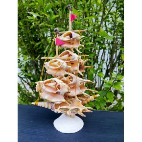 GEMİ-KESİK LAMBİS