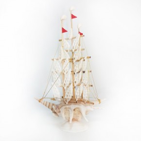 GEMİ-KESİK VERTAGUS                                         