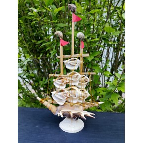 GEMİ-KESİK CERITHIUM