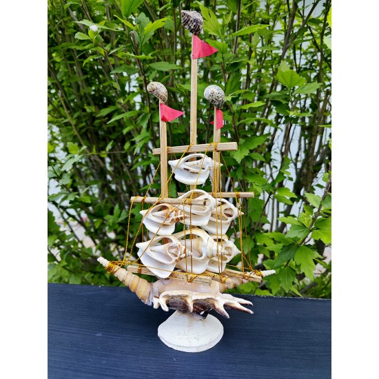 GEMİ-KESİK CERITHIUM