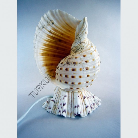 TUNA TESELLATA LAMBA