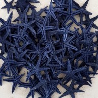 DENİZ YILDIZI 2,5-4,50 Cm-NATUREL