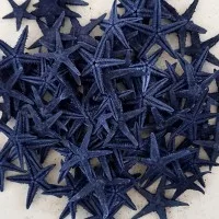 DENIZ YILDIZI 2,5-4,5 Cm -MAVI