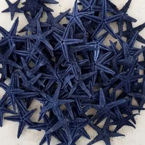 DENIZ YILDIZI 2,5-4,5 Cm -MAVI